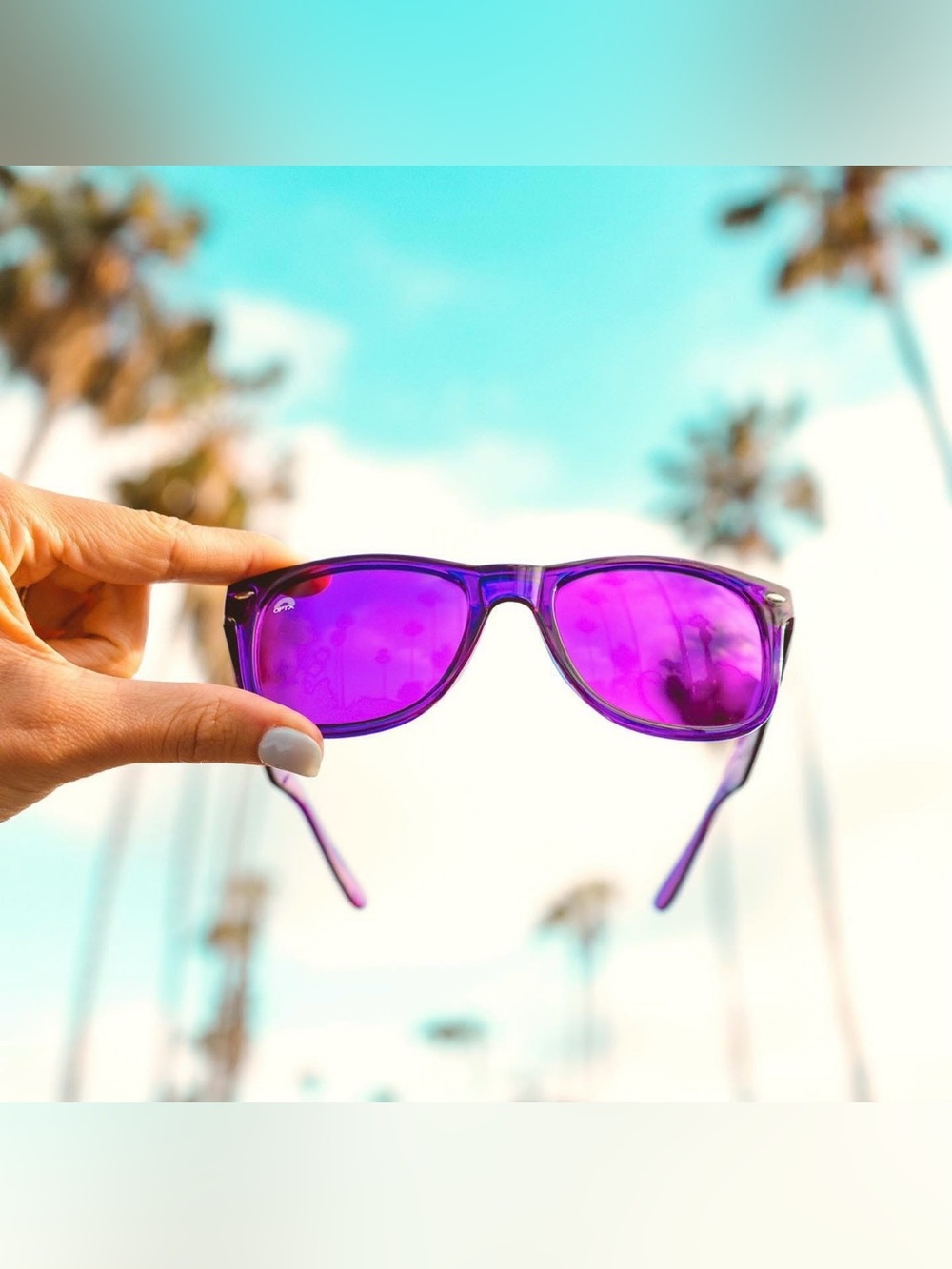 NIB Rainbow OPTX Translucent Sunglasses